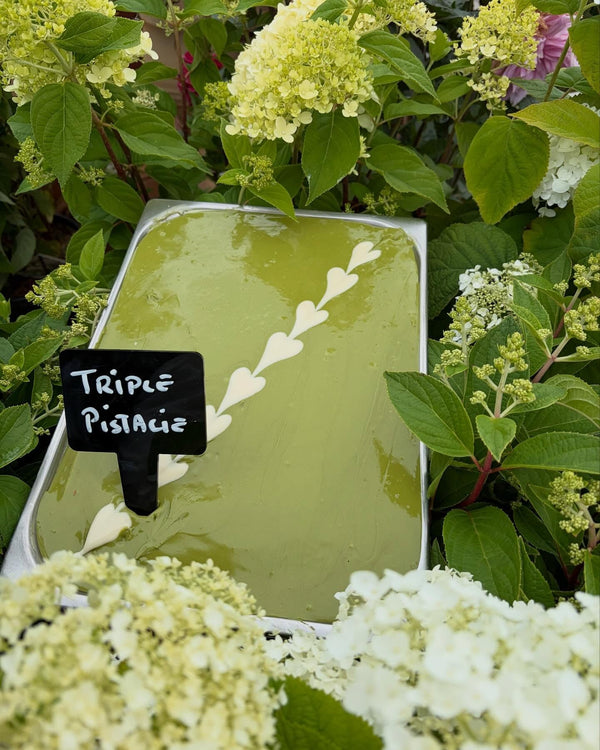 Pistacieis foran en hortensia