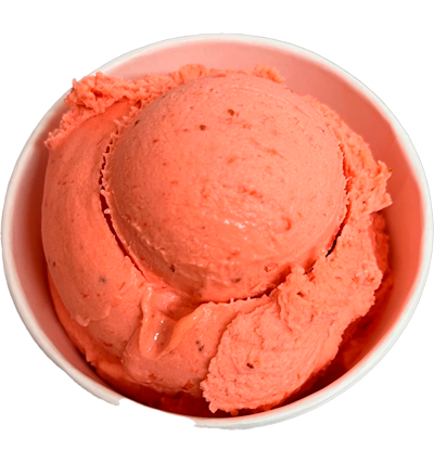 Jordbær sorbet